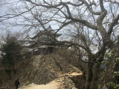 【家族で山登り】“天空の城”備中松山城へ