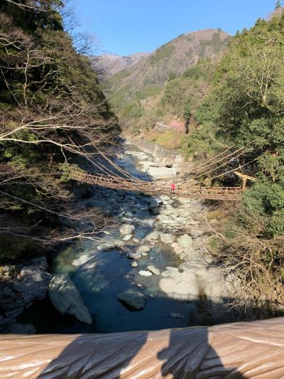 秘境の地　祖谷渓谷を訪れて　　