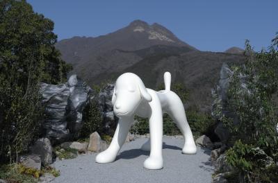湯布院 由布院温泉 犬 に関する旅行記 ブログ フォートラベル 大分県