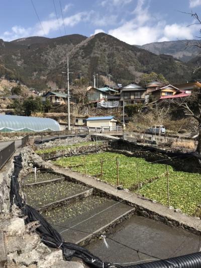 温泉とジビエと山葵のオクシズ1泊2日