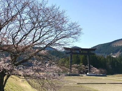 神々が棲まう自然崇拝の聖地【熊野】八咫烏舞い降りし熊野本宮大社