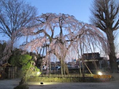  流山市の名都借・清瀧院・流山１００か所めぐり (96)・ 下総観音霊場(11)・七福神