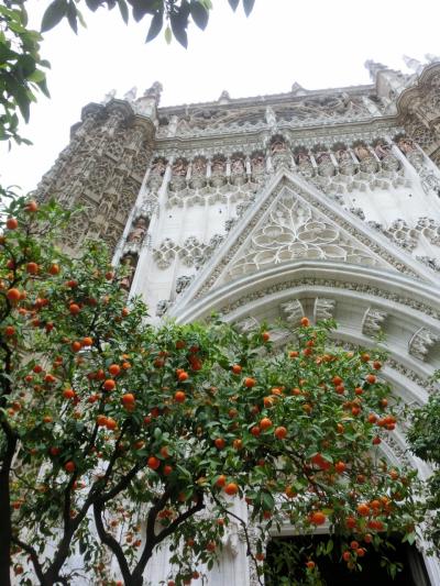 セビリアに関する旅行記 ブログ フォートラベル スペイン Sevilla