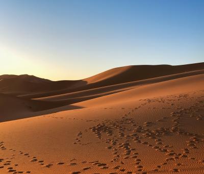 モロッコぐるっと1周の旅。4日目。サハラ砂漠&#12316;&#12316;！