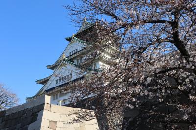 大阪城公園で桜開花