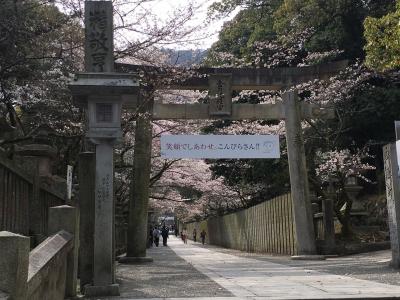 サンライズ瀬戸で小豆島と高松旅行4