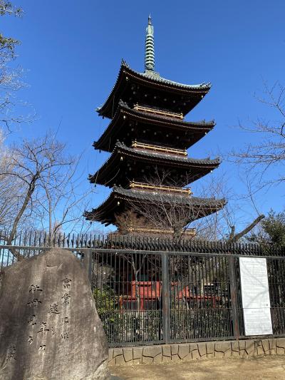 2020年2月　春の息吹を感じる上野公園＆湯島天神