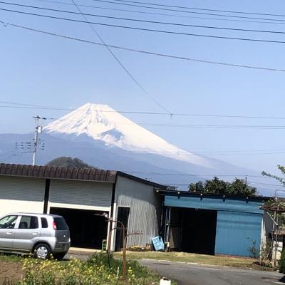 伊豆長岡温泉まで一人旅①