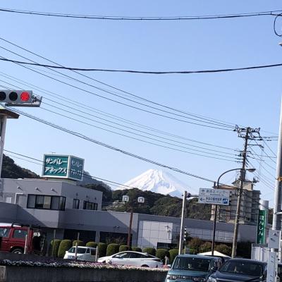 伊豆長岡温泉まで一人旅④