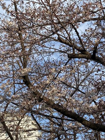 巣鴨　SAKURAの湯