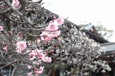 ひょんなことから三島滞在数時間の旅へ