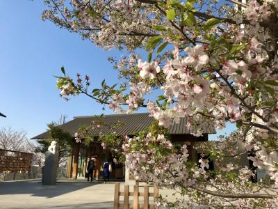 2020年3月 カナルカフェでお花見&神楽坂散歩～靖国神社