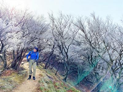 雪もないのに白い森を見に行こう/釈迦が岳