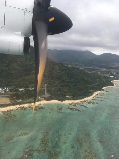 '20.03 日帰りで徳之島に一人旅...のはずが欠航で足止め一泊