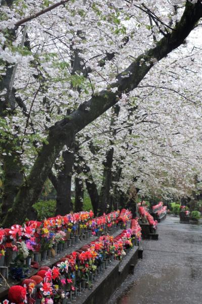 霙降る＊東京さぬき倶楽部～芝公園～増上寺