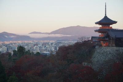 関西散歩記～2019-2 京都・京都市東山区編～“世界遺産「古都京都の文化財」