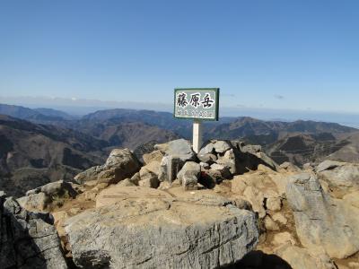 2020春　フクジュソウの咲く藤原岳登山