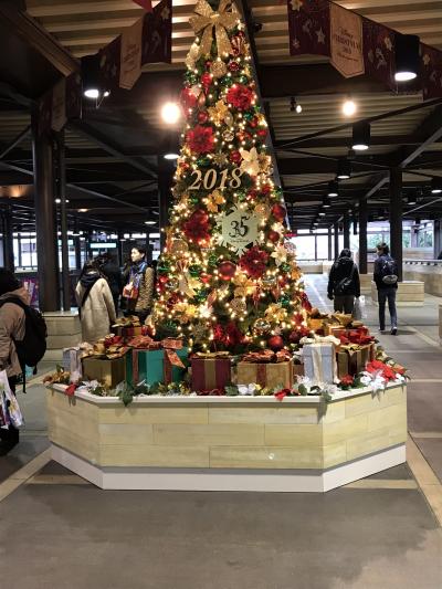 #️⃣甥の結婚式ついでにディズニーへ