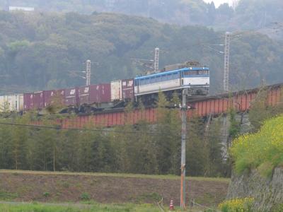 本日の宝箱・お題は「大分県」にちなんで大分県・国東半島の花香る春を紹介します?(*^-^*)?