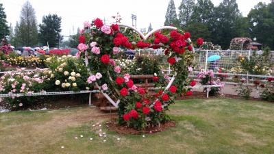 2018年・伊奈町バラまつり