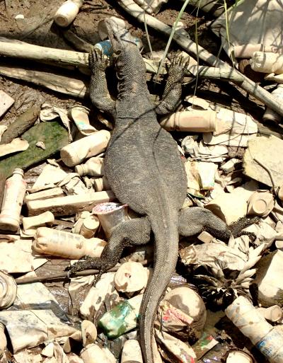 マラッカ海峡横断とスマトラ島周遊（Ⅳ）；　テンビラハン