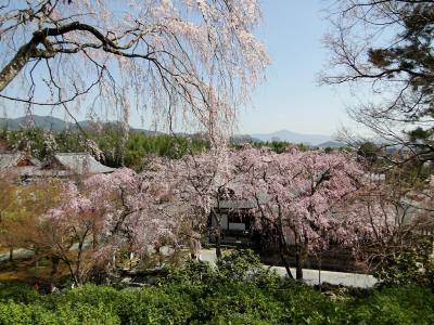 2020春 嵐山散策