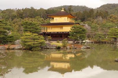 くもりの京都　金　スポット巡る　