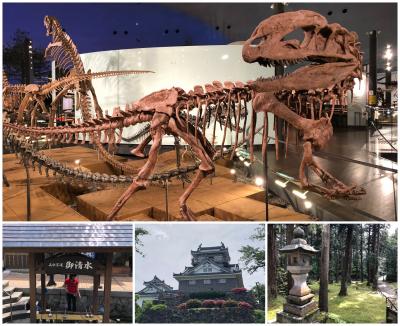 2019 春 関西･北陸 2/3 - 福井 古代のロマン - 氣比神社/福井県立恐竜博物館/越前大野城/白山平泉神社