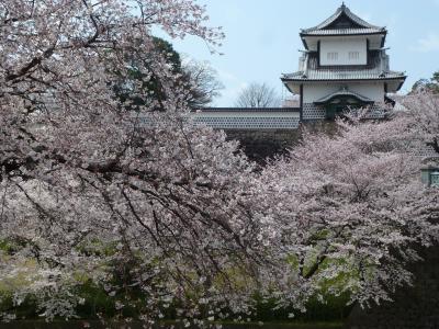 山代温泉　山下家と兼六園、金沢城の桜 　1日目