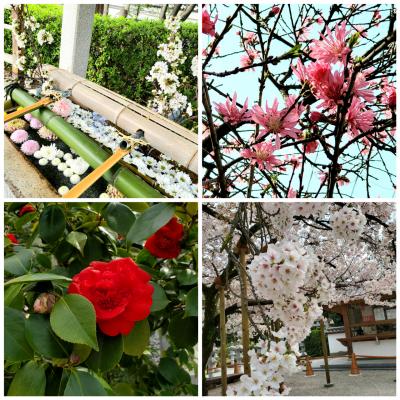 兵庫県 ロケ地巡り 聖地巡礼 に関する旅行記 ブログ フォートラベル