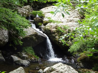 丹波篠山日帰りバスツアーに参加