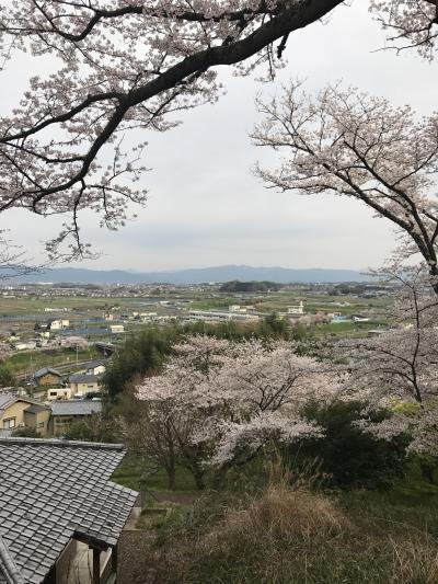 王寺～竜田川散歩