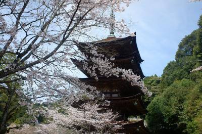 山口&島根の旅　2