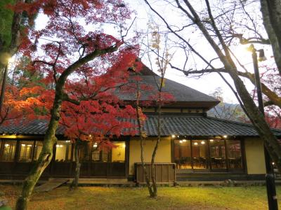 2019大分旅行記①はなの舞に泊まる由布院