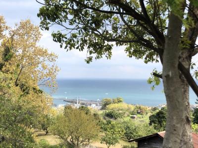 リトリート遥早川　芝生7700枚敷く　一夜城鎧塚ファーム