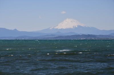 江ノ電に乗って、江ノ島に行ってきました