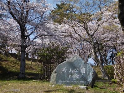 ２０２０年４月　山口県・山陽小野田市　須恵健康公園と若山公園に桜を見に行きました。
