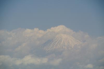 ゴールデンウイークに行く富士山絶景周遊旅・三保の松原、久能山東照宮、日本平