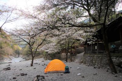 なんとなく後ろめたいな、大岳山