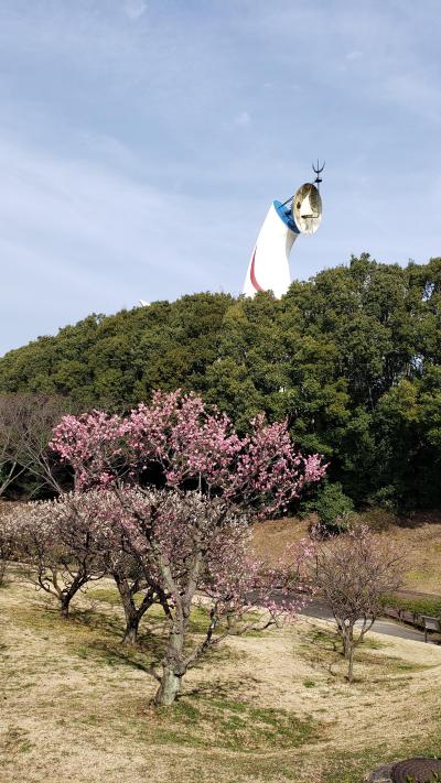 スマホでスナップ・万博記念公園で梅