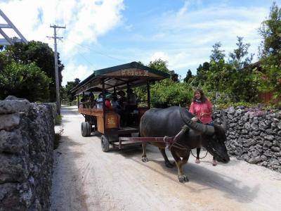 2019年8月 夏休みは石垣島へ 2日目① 竹富島編