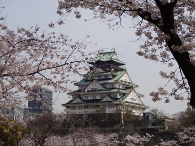 お花見2020　京橋