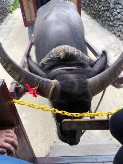 1泊2日の弾丸石垣の旅②　竹富島編