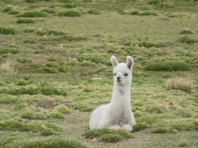 2020年の年明けはウユニ塩湖で！② スクレ～ポトシ～ウユニ