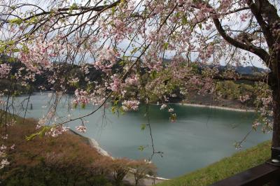 近場だがなかなか見どころの多い津久井湖周辺