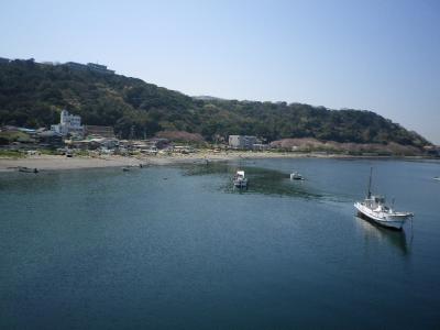 横須賀・走水桜散歩