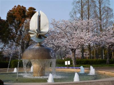 ２０２０年４月　山口県・山陽小野田市　須恵健康公園３回目の花見。スーパームーン