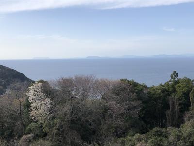 2020　愛媛　南予　道の駅巡り　八幡浜　宇和島　パンメゾン　亀ヶ池温泉　ブラッドオレンジ