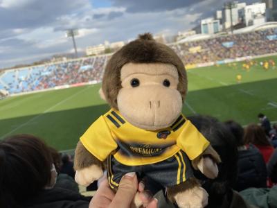 2020年 ラグビー観戦記録 大学ラグビー・トップリーグ・スーパーラグビー