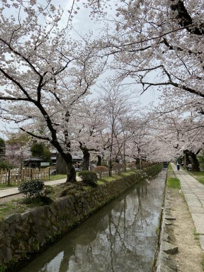 初めての銀閣寺と真如堂